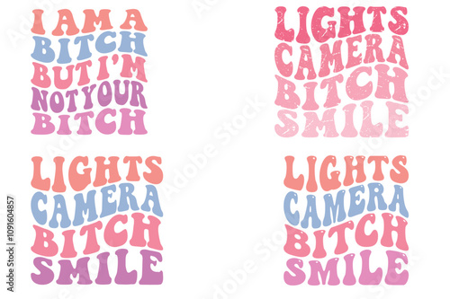I Am A Bitch But I'm Not Your Bitch, Lights, Camera, Bitch Smile retro T-shirt