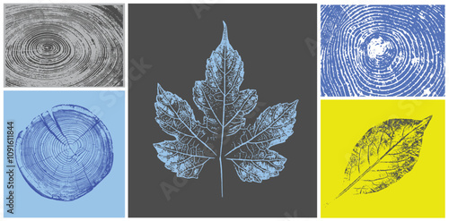 Decorative leaf silhouette prints and wood block prints. Monotone florescent yellow and gray botanical tree rings impression print.