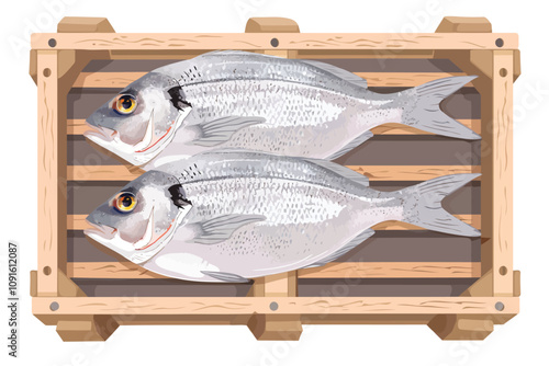 freshly caught fish packed in wooden crates isolated illustration