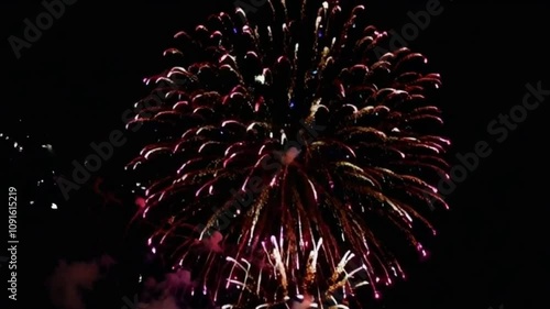 fireworks in the night sky
