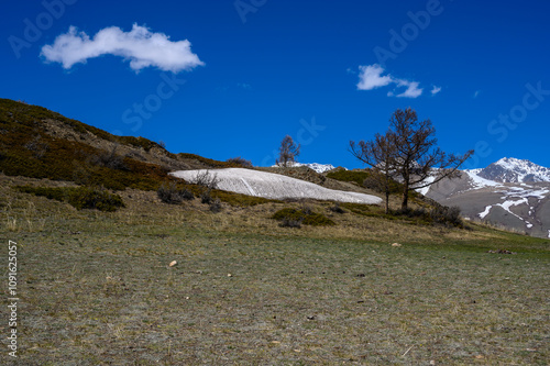 Severo-Chuisky ridge in Gorny Altai. Kosh-Agach district of the Altai Republic, Kuraiskaya steppe.