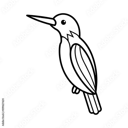 illustration of a bird photo