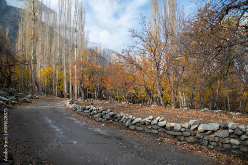 most beautiful autumn landscape with colorful trees in the mountains valley of skardu , gilgit baltistan , Pakistan. photo