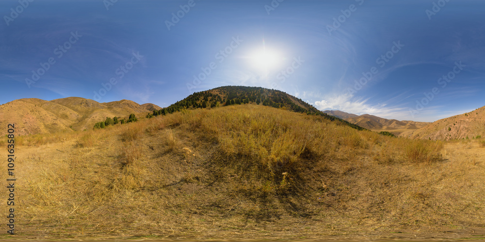 Fototapeta premium Full Spherical panorama of dry yellow grass covered foothills at sunny autumnal day in equirectangular projection