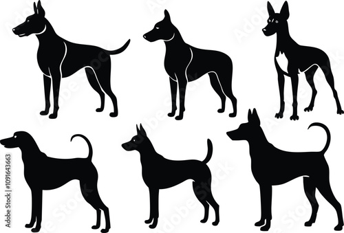 6 Vector Silhouette Dogs Logo Icon Set - Black Clipart Illustrations on White Background photo