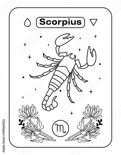 Scorpio on the map is a symbol of the zodiac horoscope. Poisonous insect in linear style. Black and white flat vector illustration, eps10