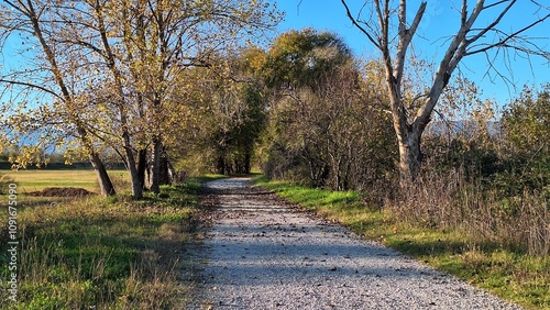 footpath in the park