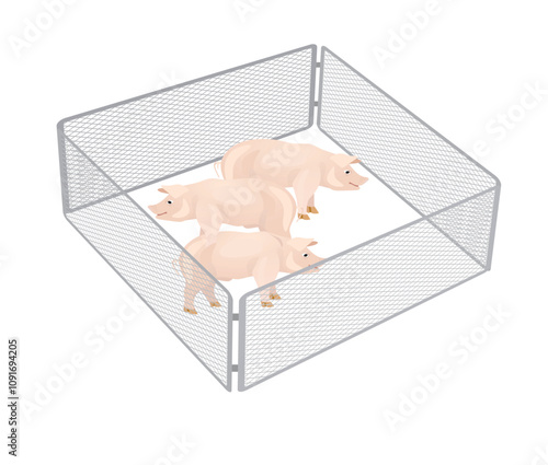 Pigs in farmland. vector illustration