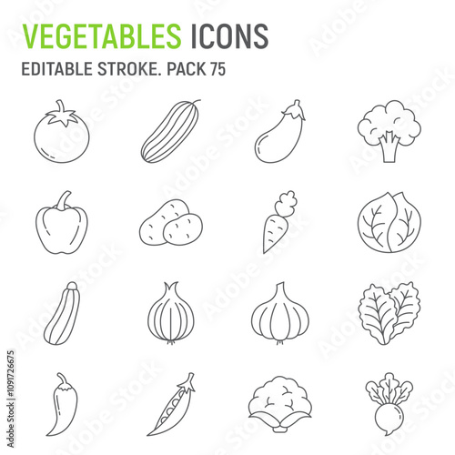 Vegetable line icon set, organic food collection, vector graphics, logo illustrations, vegetable vector icons, natural signs, outline pictograms, editable stroke