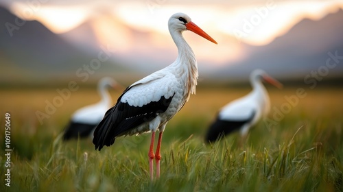 An artful portrayal of a solitary stork in its lush, natural environment, its distinctive red beak and feathers highlighted by the sun, representing grace and elegance. photo