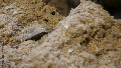 Wood chip fuel for biomass boiler in a factory. Close Up