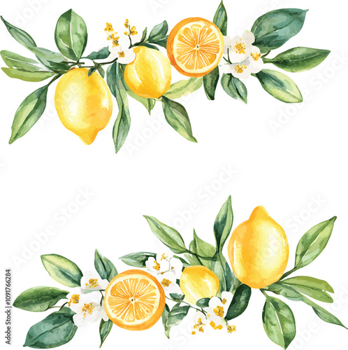Summer card with flowers and lemon branch. Floral design elements for wedding invitation, label for drinks. Vector illustration. Floral design elements for wedding invitation