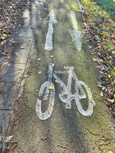 bicycle path in the park