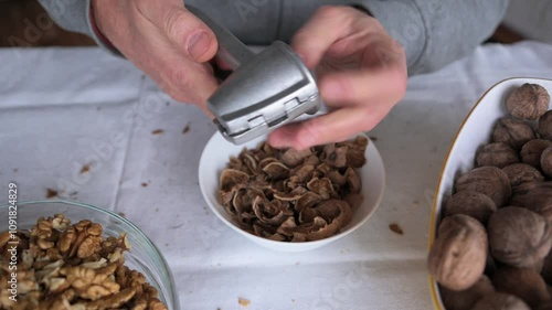 Cracking and extracting a walnut kernel with a steel nutcracker by squeezing the handles with male hands.