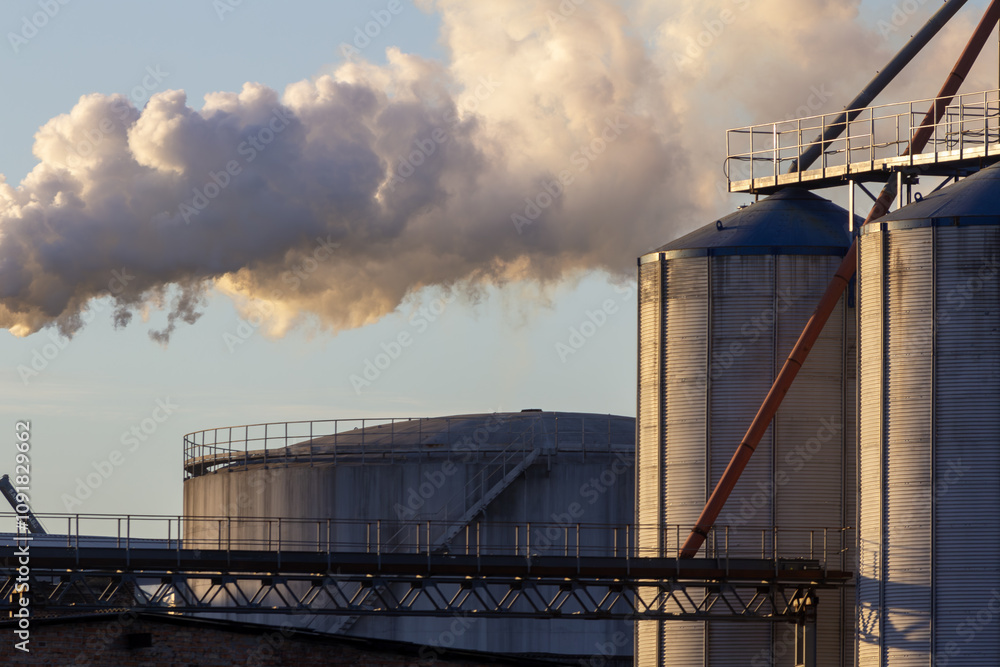 Obraz premium Factory fumes. Two silos against the sky