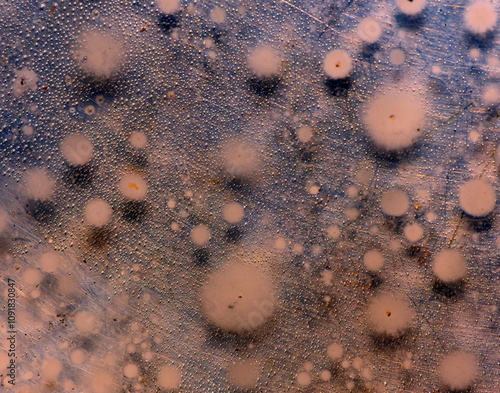 Liquid soap drops on the metal plate.