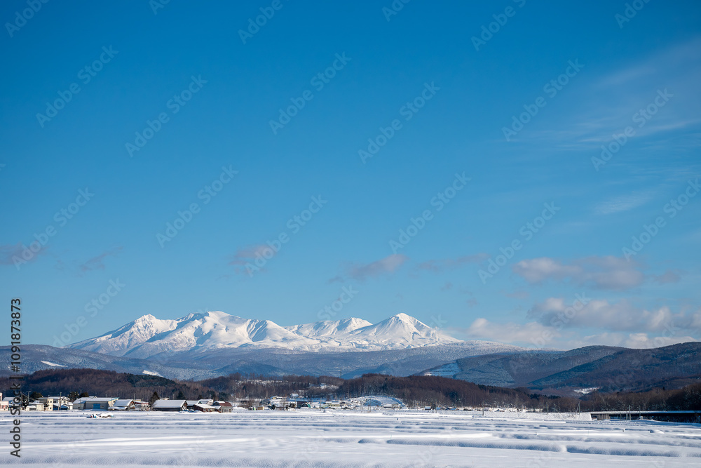 Fototapeta premium 冬の晴れた日の雪山と積雪の水田 