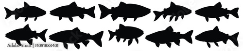 Fish silhouettes set, fishing pack of vector silhouette design, isolated background.