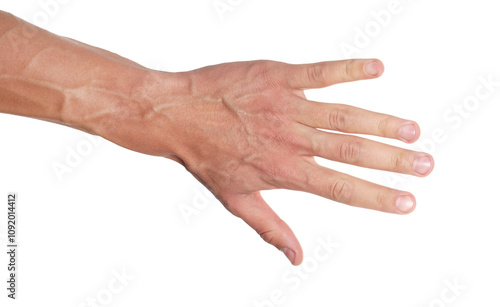 Man with bulging veins on his arm against white background, closeup photo