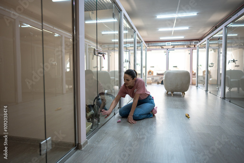 Staff introducing new cat to activities through glass door of suit, extends hand for scent recognition to aid adaptation in animal hotel area. Pet services comfort, care and adaptation in new space photo