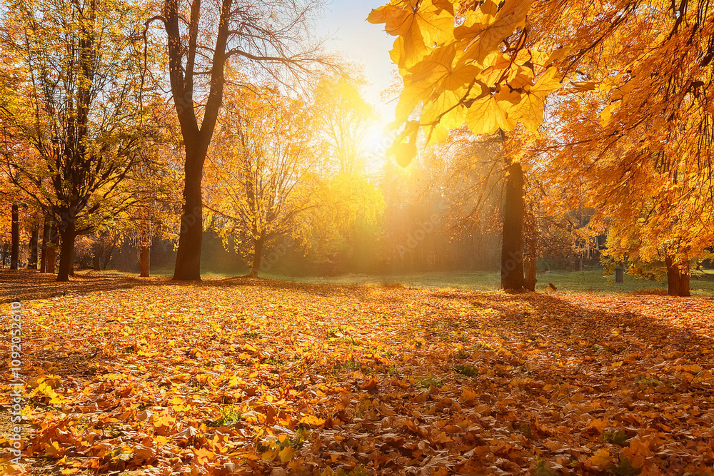 Obraz premium beautiful autumn landscape background