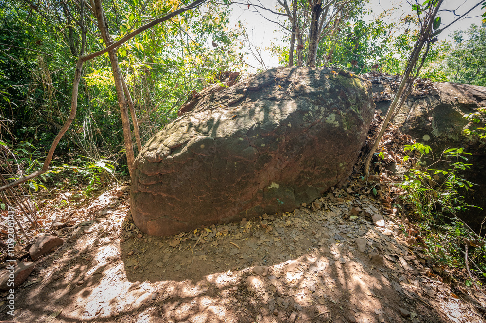 Obraz premium The bizarre Naga stone in Naga Cave, located in the Bueng Kan province of Northeastern Thailand.