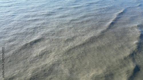 Aerial footage of surfers swimming in the ocean waiting for the perfect wave to ride on a sunny day photo