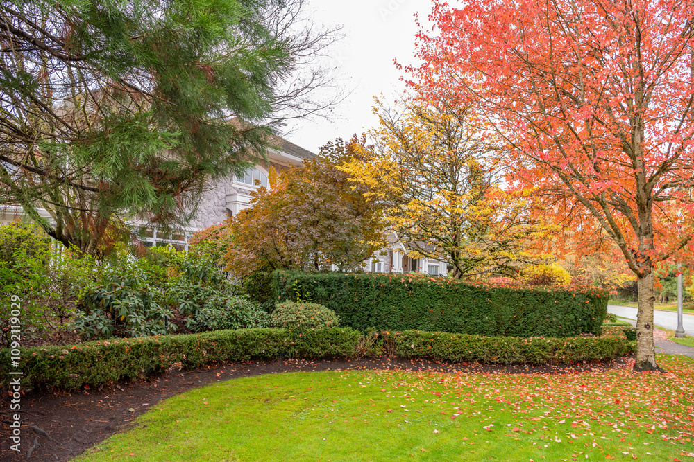 Outdoor landscape with green lawn, red and yellow trees and nice Fall foliage in Vancouver, Canada, North America. Overcast. Day time on November 2024. Outdoor landscape with green lawn, red and yellow trees and nice Fall foliage in Vancouver, Canada, North America. Overcast. Day time on November 2024.