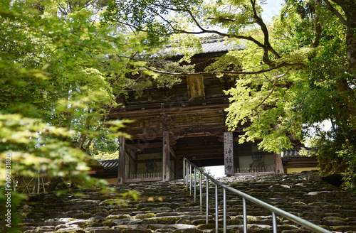 神護寺　楼門　京都市右京区高雄