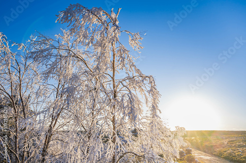 大きな夕日に照らされる樹氷　