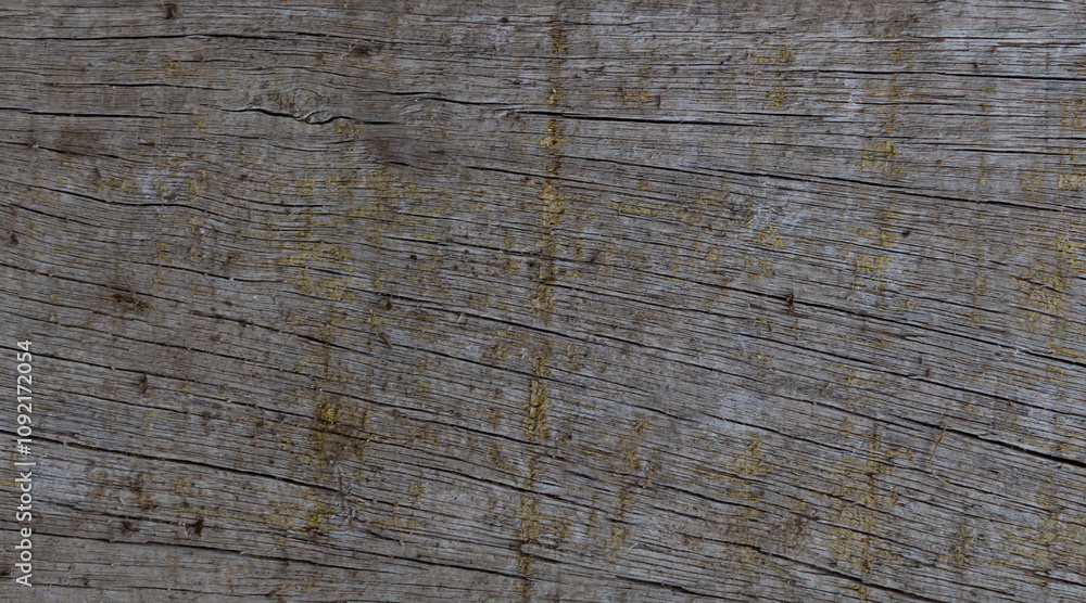 Fototapeta premium old wood texture background