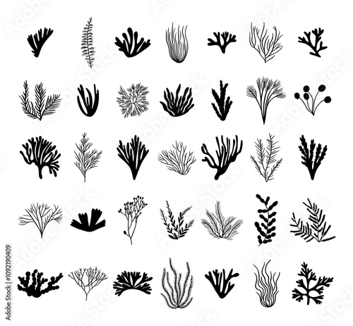 Set silhouette sea seaweed, algae, coral. Ocean plant elements. Hand drawn vector illustration