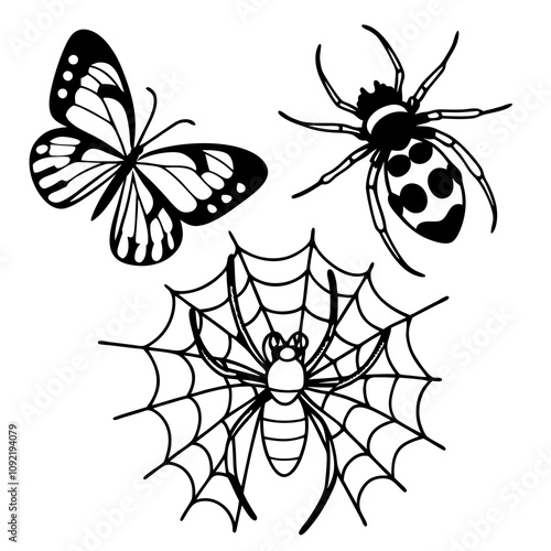 many kinds of insects illustrations vector art white background isolated art.