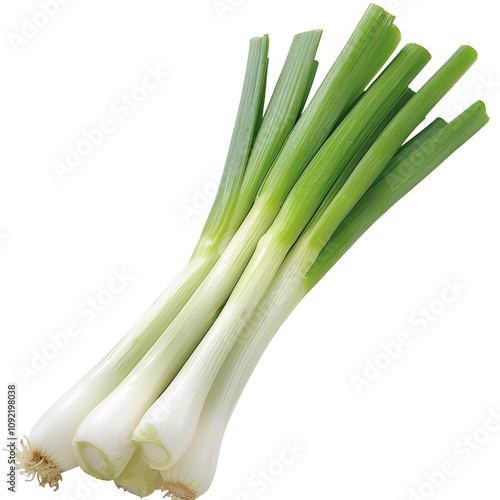 Fresh bunch of green onions onwhite background photo