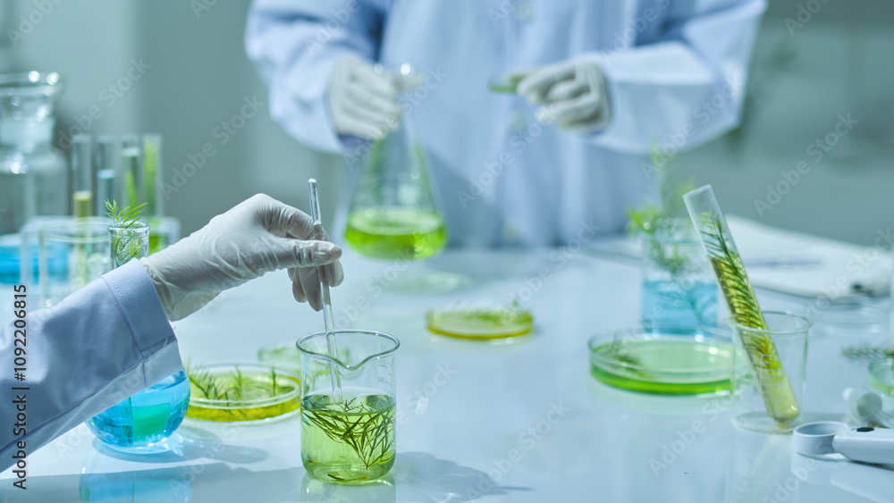 Fototapeta premium Two researchers are in the frontal view of the tea tree experiment in modern lab settings, one stirring melaleuca liquid, while another holds a flask containing green liquid and observes.