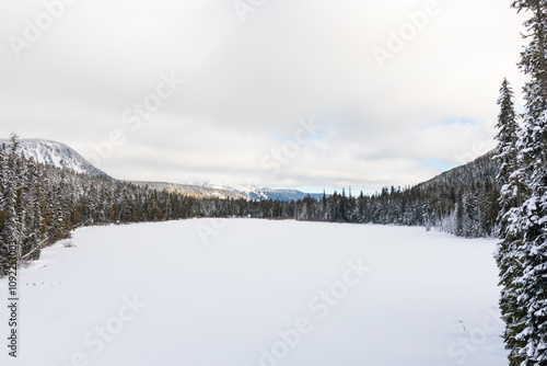 Wallpaper Mural winter landscape with snow covered alpine lake and trees Torontodigital.ca