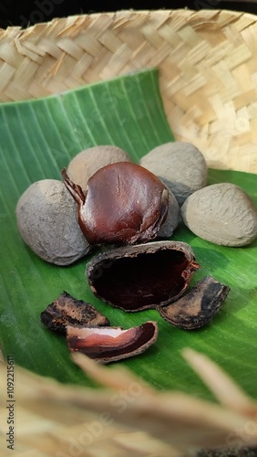 Keluak, also known as Keluwek or Keluwak or Kluwak is the seed of the Pangi or Kepayang tree ( Pangium edule ). It main spice to make Rawon Soup, Indonesian black beef soup . photo