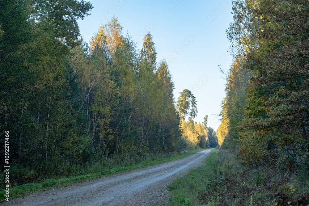 sand and gravel road through autumn forest in Latvia sand and gravel road through autumn forest in Latvia