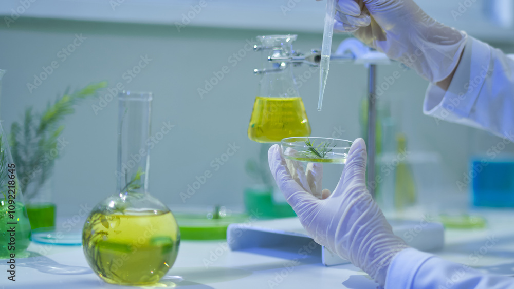 A frontal of a researcher dripping a solution onto a transparent petri dish containing a tea tree branch; all around the table is a beaker, an erlenmeyer, a flask, solutions, and melaleuca branches. A frontal of a researcher dripping a solution onto a transparent petri dish containing a tea tree branch; all around the table is a beaker, an erlenmeyer, a flask, solutions, and melaleuca branches.