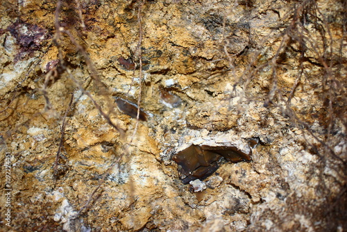 Chunks of flint concretions protruding from yellow clay, occurrence of flints in host rock photo