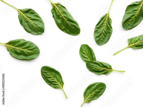 Freshly harvested spinach leaves arranged artfully on a crisp white background with subtle texture and slight shading for depth effect, crisp white, textured surface