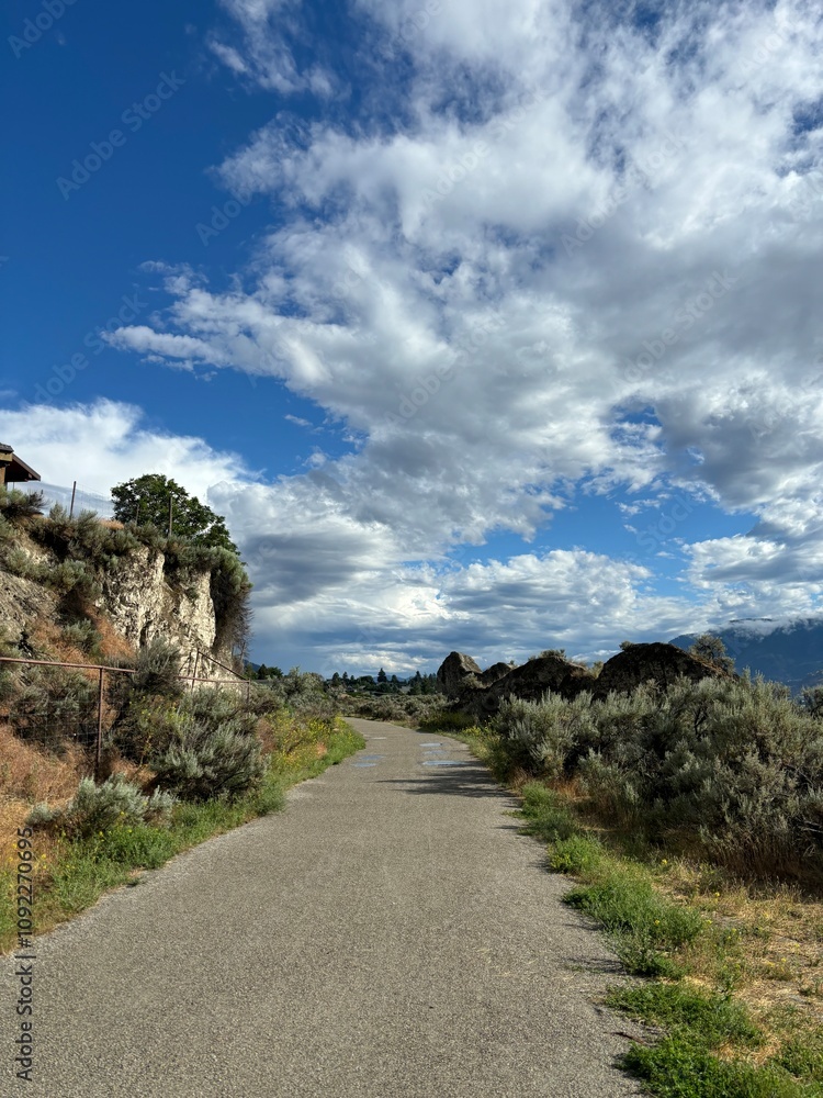 Obraz premium walking trail