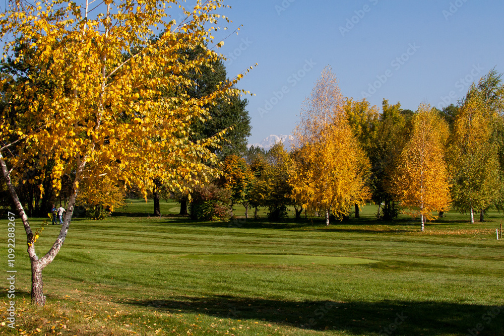 Naklejka premium Yellow trees stand on a golf course in Almaty