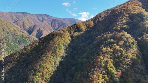 紅葉に染まる奥秩父、豆焼橋・雁坂大橋をドローンで撮影しました。 photo