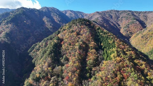 紅葉に染まる奥秩父、豆焼橋・雁坂大橋をドローンで撮影しました。 photo