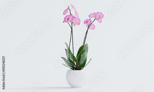 3d render of isolated pink orchid in pot for indoor interior decoration photo