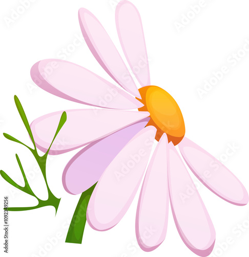 Cartoon herbal chamomile flower with white petals and green stem. Isolated vector plant, garden blossom or herb, wildflower or bloom. Natural product for herbal tea, botanical element and remedy