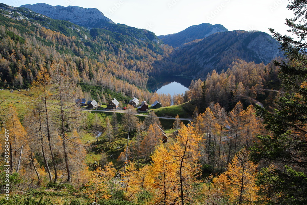 Colorful Autumn scenery in Tauplizalm, Bad Mitterndorf, Salzkammergut, Styria, Austria, Europe, with alpine huts overlooking the lake Steirersee