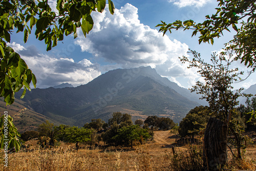 Mountains and Clouds