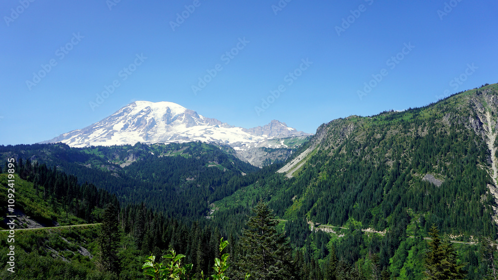 Fototapeta premium Mt. Rainier National Park Washington State